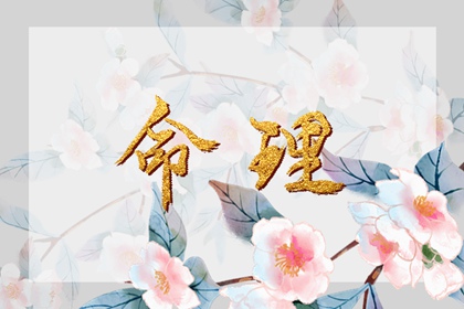 择吉黄历,择吉老皇历,择吉皇历